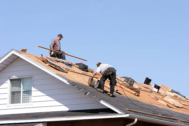 Best Roof Replacement  in Eddyville, IA